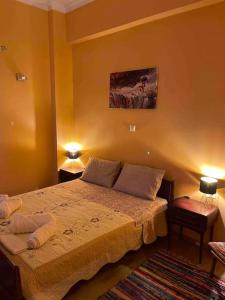 een slaapkamer met een bed met 2 kussens erop bij Mary's Rainbow Apartment in Athene