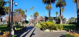 un parque con palmeras en un día soleado en MnM's BnB, en Napier