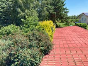 Ảnh trong thư viện ảnh của Maria ở Jastrzębie