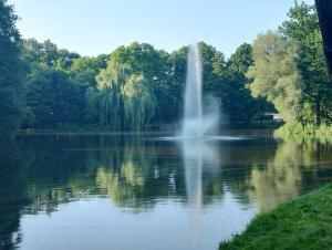 a fountain in the middle of a lake at Zielono mi....... in Jelenia Góra