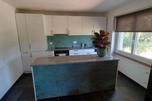 a kitchen with white cabinets and a counter with a plant on it at Appartement Villa du Golf in Payerne