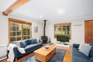 ein Wohnzimmer mit einem blauen Sofa und einem TV in der Unterkunft Bunyip Cottage in Katoomba