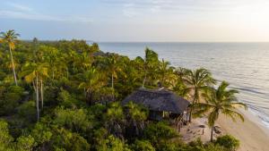 an island with palm trees and a hut on the beach at Simply Saadani Camp, A Tent with a View Safaris in Mkwaja