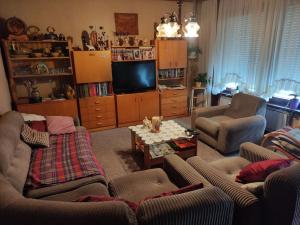 uma sala de estar com sofás e uma televisão de ecrã plano em Apartma Čampa em Kocevje