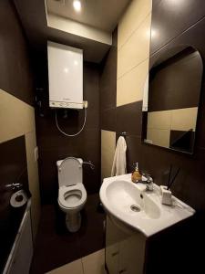 ein Badezimmer mit einem Waschbecken, einem WC und einem Spiegel in der Unterkunft Apartament Moniuszki in Biłgoraj