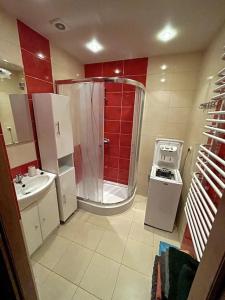 ein kleines Bad mit einer Dusche und einem Waschbecken in der Unterkunft Apartament Moniuszki in Biłgoraj