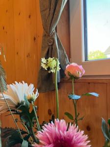 Gallery image of The Tiny Garage in Kampen +42 photos