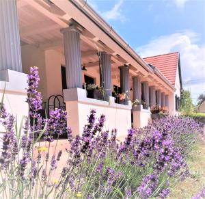 una casa con flores púrpuras delante de ella en Nanica Vendégház - Vidéki romantika, en Buzsák