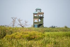 a lighthouse in the middle of a field of grass at Little Okavango Camp Serengeti, A Tent with a View Safaris in Itonga