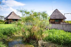 two huts with thatched roofs in a field with a creek at Little Okavango Camp Serengeti, A Tent with a View Safaris in Itonga