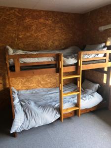 a group of bunk beds in a room at GUEST HOUSE NAGORIYA in Hikone