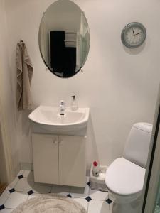 a bathroom with a sink and a toilet and a mirror at Værelse ved Nykøbing F. in Nykøbing Falster