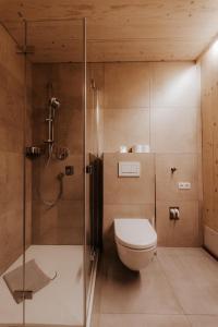 a bathroom with a toilet and a shower at Haus W in Schruns