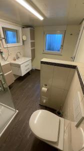 La salle de bains est pourvue de toilettes blanches et d'un lavabo. dans l'établissement Loreleyresidenz, App Jerry, à Sankt Goarshausen