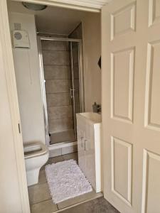 a bathroom with a toilet and a shower and a door at Modern two bedroom flat in North Stifford
