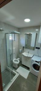 ein Badezimmer mit Toilette, Waschbecken und Waschmaschine in der Unterkunft Durmitorske Vile in Žabljak