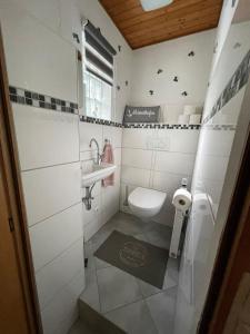 Baño pequeño con aseo y lavamanos en Loreleyresidenz, App Tom, en Sankt Goarshausen