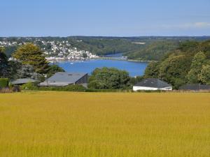 a large field of grass next to a lake at Chambre cosy in Locquénolé