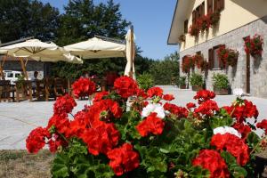 Giardino di Rifugio Fasanelli