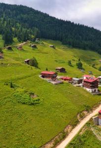 un petit village sur une colline verdoyante avec des maisons dans l'établissement Kalispera Apart Otel, à Uzungöl