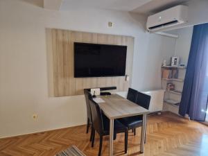 TV a/nebo společenská místnost v ubytování Apartment Viktor