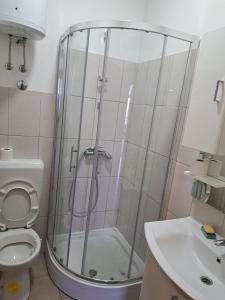 a bathroom with a shower and a toilet and a sink at Villa Ika in Ploče +6 photos