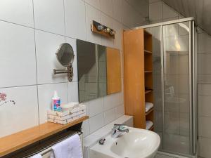 a bathroom with a sink and a shower at Ferienwohnung an der Brigach in Donaueschingen
