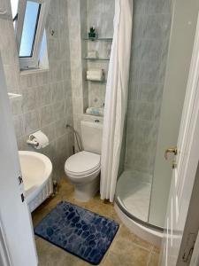 een badkamer met een toilet, een douche en een wastafel bij Studio in Nea Styra in Nea Stira