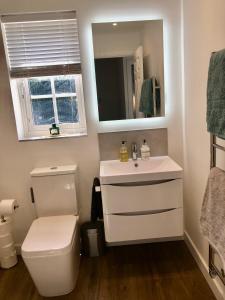ein Badezimmer mit einem WC, einem Waschbecken und einem Spiegel in der Unterkunft Chez Ana in Saxmundham