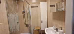 a bathroom with a shower and a sink and a toilet at Apartament Rodzinne Zacisze - dla 8 osób - PET FRIENDLY - dwie osobne sypialnie z parkingiem - Space Apart in Karpacz