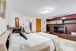Habitación de hotel con cama y TV en HomeSweetHome near Rome, en Monterotondo