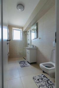 a bathroom with a toilet and a sink and a mirror at Dominic Apartments Sighisoara in Sighişoara