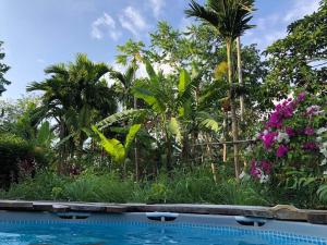 een zwembad in een tuin met bomen en bloemen bij Maison en bambou, éco lodge in Pila
