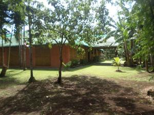 een tuin met twee bomen en een huis bij Maison en bambou, éco lodge in Pila