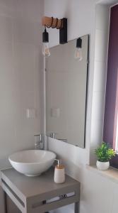 La salle de bains est pourvue d'un lavabo blanc et d'un miroir. dans l'établissement Casa das Rosas, à Crato