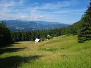 KotljeにあるJurček Holiday Homeのギャラリーの写真 +59枚の写真