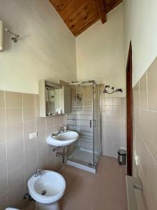 y baño con ducha, aseo y lavamanos. en Palatium Le Caselle, en Viterbo