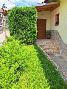 Zahrada ubytování Vila Katerina