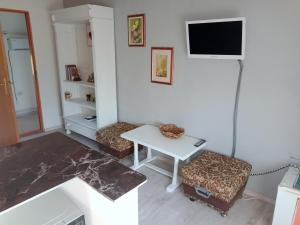 a living room with a table and a tv at Arad Apartment - Cozy Vintage new in Arad