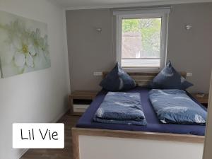 a bed with blue pillows in a room with a window at Ferienwohnung Wiehelund - Kleinwiehe in Lindewitt