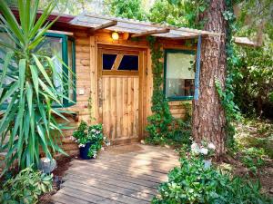 a wooden cabin with a door next to a tree at Adventure - חוויה in Amirim