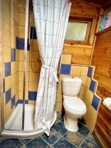 a bathroom with a toilet and a shower at Adventure - חוויה in Amirim