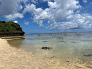 un gruppo di persone in acqua su una spiaggia di 青の洞窟 'Blue in Green' 青の洞窟が目の前のコテージ! Ocean view & 満天の星! 広々セミダブルベッド a Isola di Ishigaki