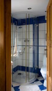 a glass shower in a bathroom with a toilet at Penzion Lesní Zátiší in Horní Malá Úpa