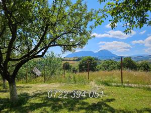 Naturlandskabet i nærheden af feriehuset