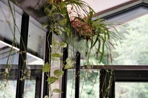 Giardino di Grand Pension Franziska - inkl CrossFit Gym