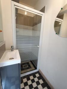 La salle de bains est pourvue d'un lavabo et d'une douche. dans l'établissement Charmante Maisonnette indépendante avec parking 5 mn Rouen, à Franqueville-Saint-Pierre
