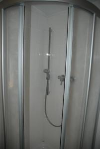 a shower stall with a shower head in a bathroom at Das grüne Häusle in Osterholz-Scharmbeck