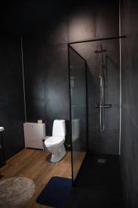 a bathroom with a toilet and a glass shower stall at Sleeping with the Horses in Hvolsvöllur