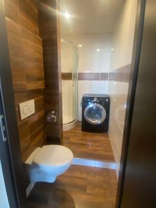 ein Badezimmer mit einem WC und einer Waschmaschine in der Unterkunft Apartmán v Třebíči in Třebíč
